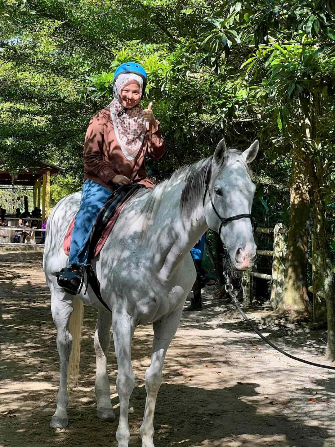 tempat menarik balik pulau countryside stables