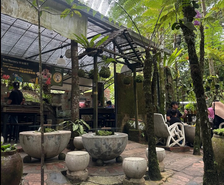 best cafes penang kopi hutan