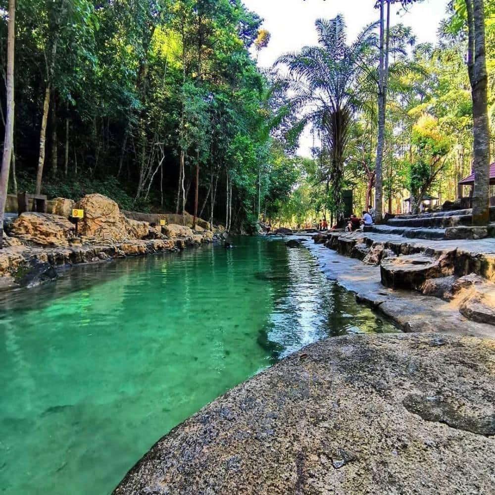 best jungle trekking and hiking trails in penang taman rimba teluk bahang