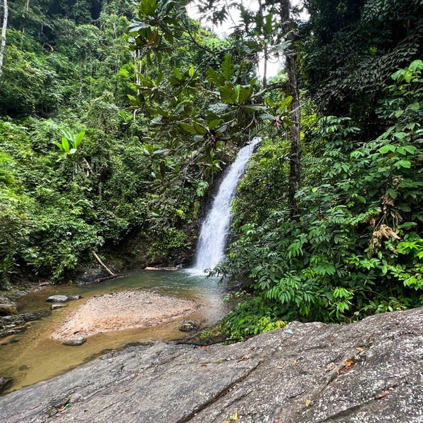 best jungle trekking and hiking trails in penang balik pulau