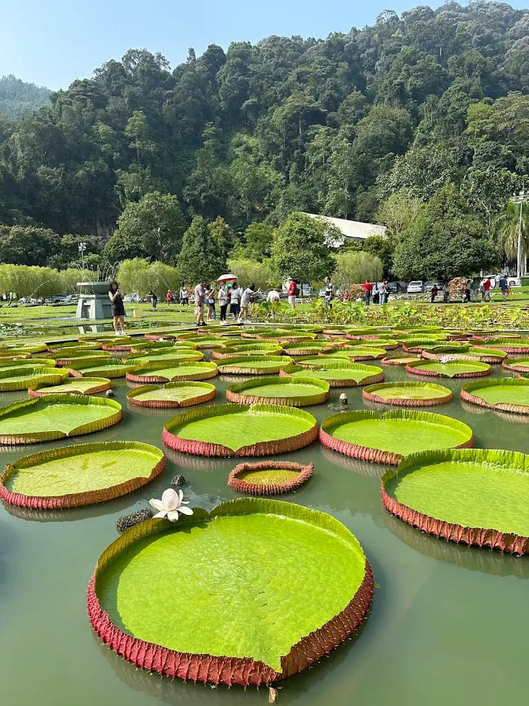 where to go in penang for school holiday penang botanical garden