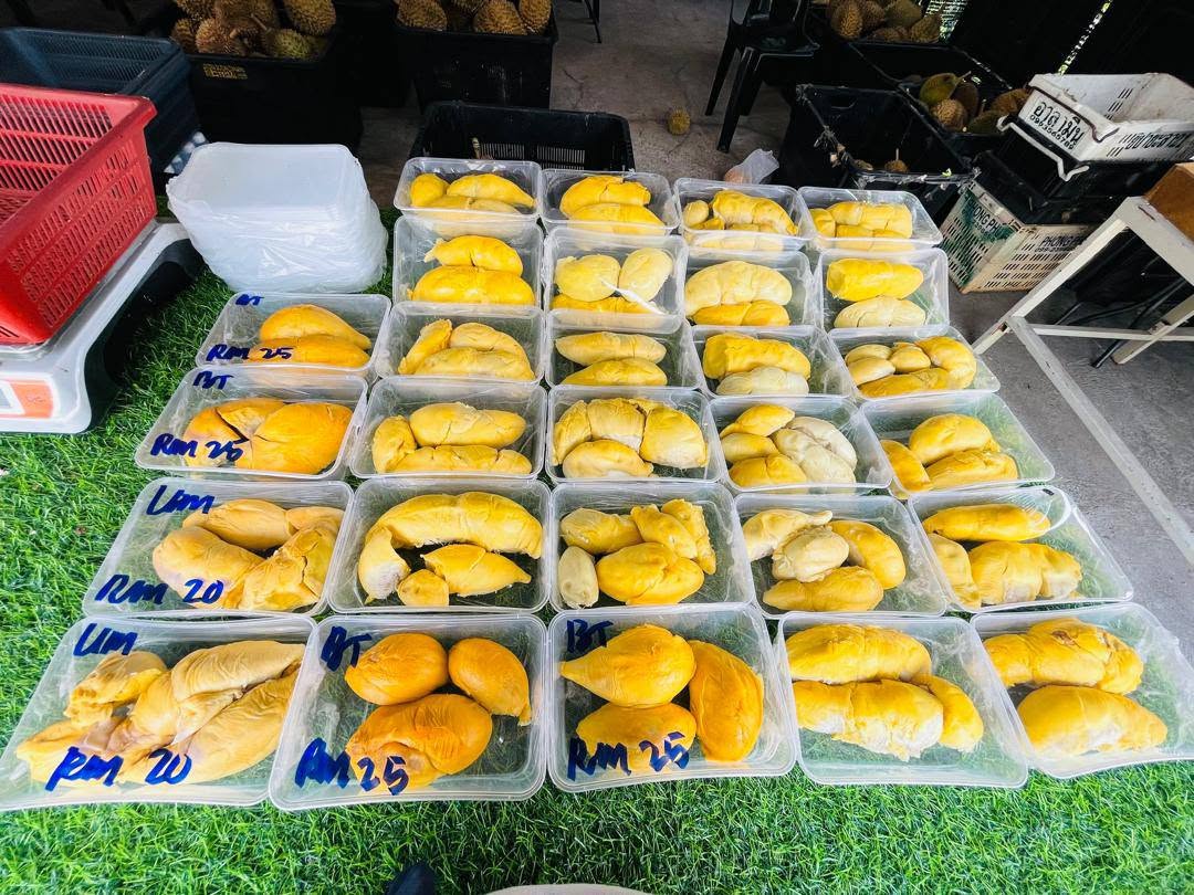 tempat menarik balik pulau durian balik pulau
