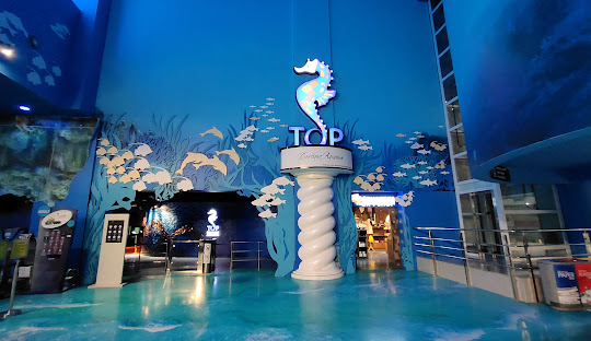 top activities at komtar penang top boutique aquarium
