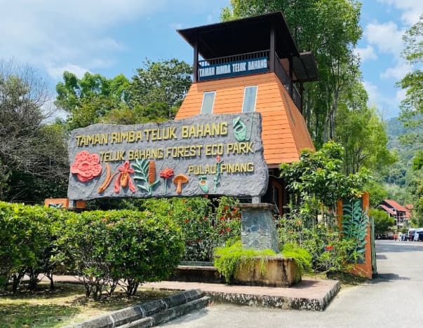 things to do in teluk bahang teluk bahang forest eco park