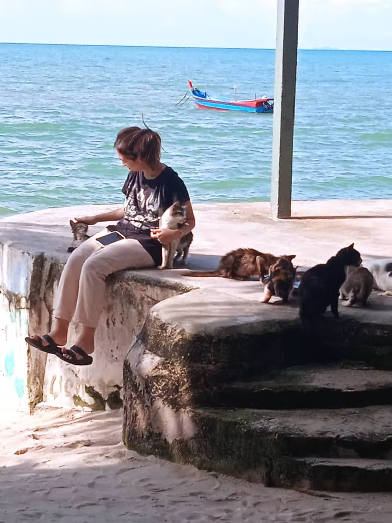 things to do in teluk bahang cat beach sanctuary