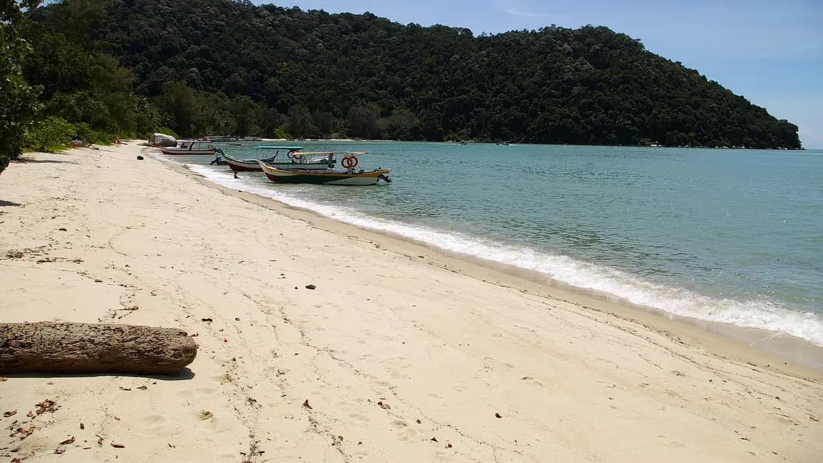 tempat menarik teluk bahang teluk duyung monkey beach