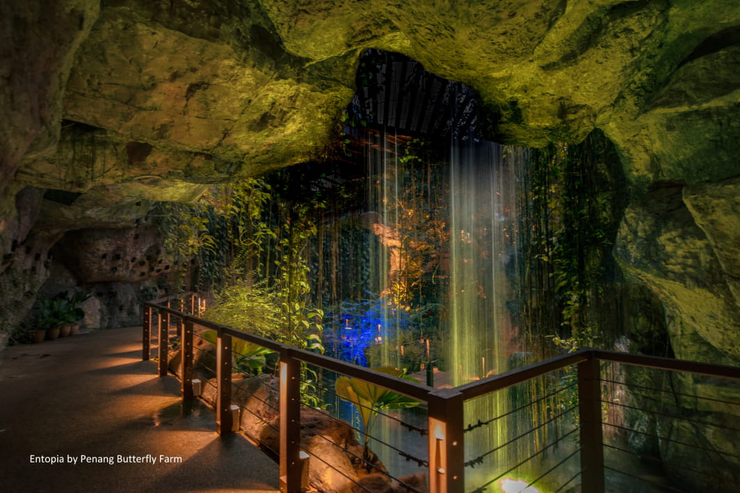 best places to visit in penang at night Entopia by Night