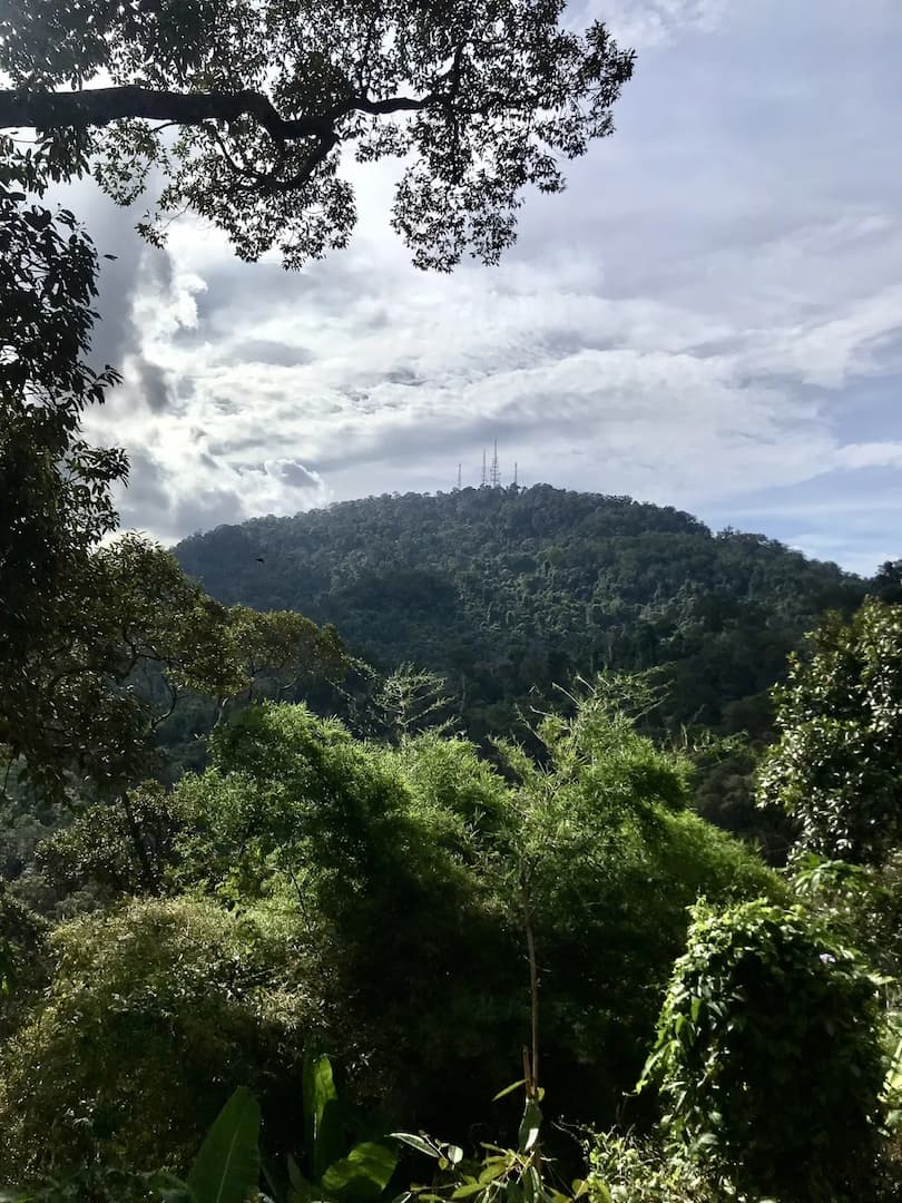 best jungle trekking and hiking trails in penang bukit mertajam recreational forest