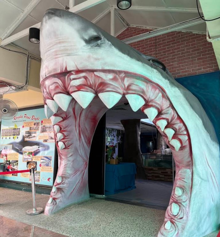 tempat menarik penang akuarium