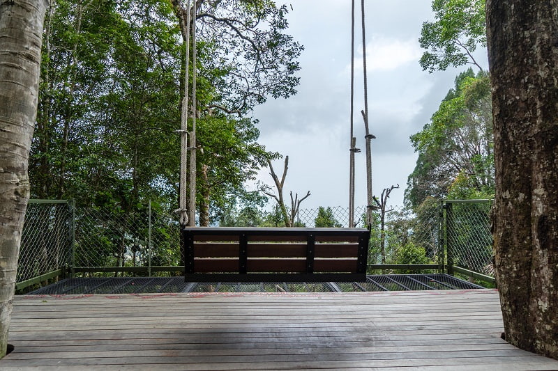 discover the habitat penang hill giant swings