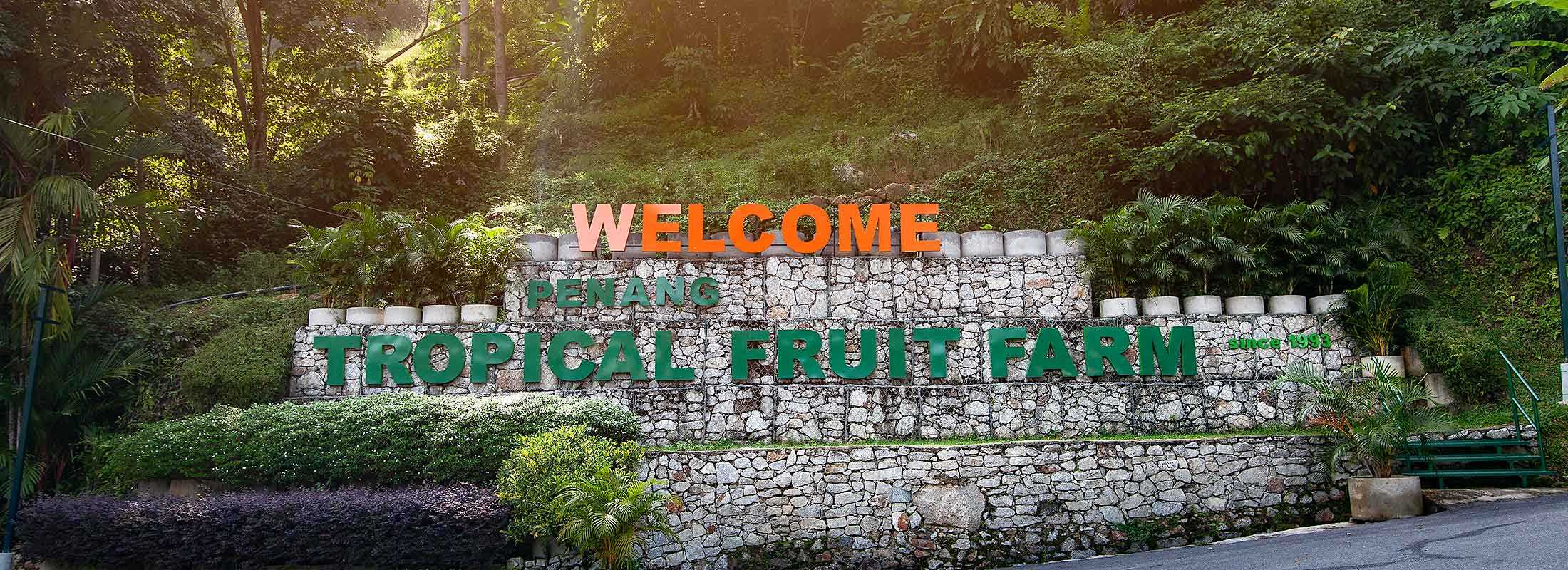 Tropical Fruit Farm Penang Booking Online